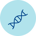 icona ricerca